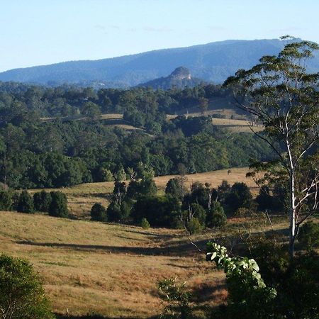 Grey Gum Lodge Nimbin Zewnętrze zdjęcie