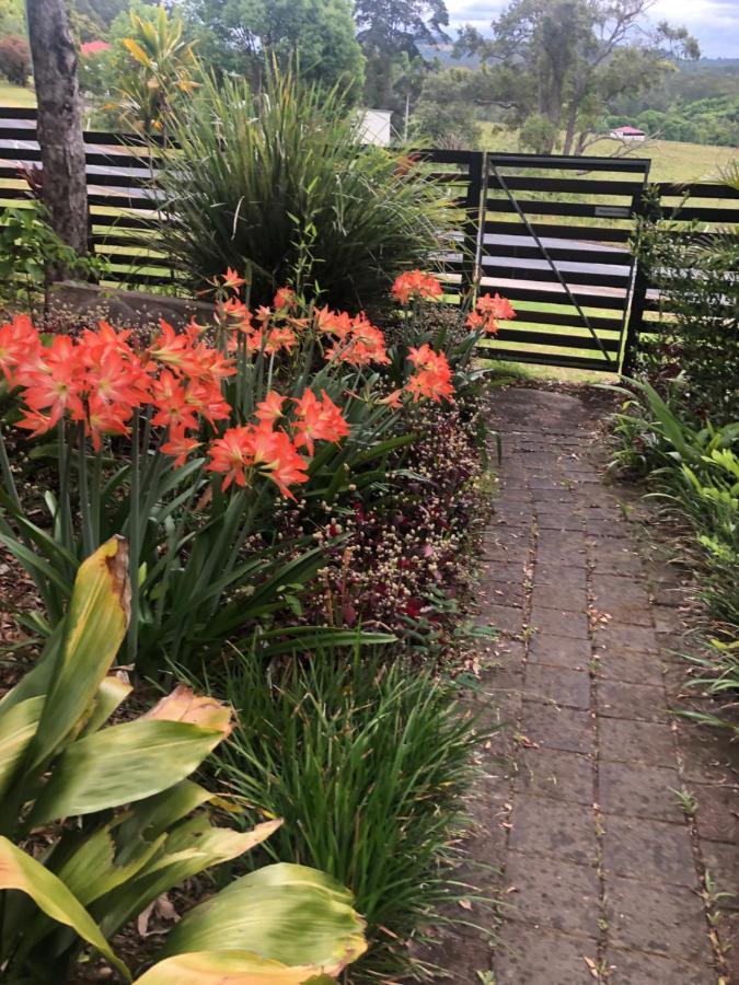 Grey Gum Lodge Nimbin Zewnętrze zdjęcie