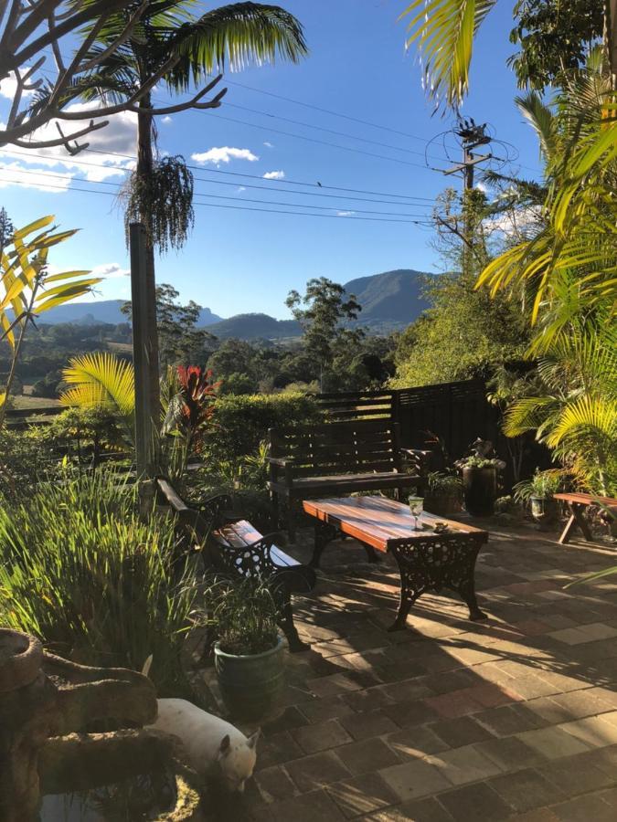 Grey Gum Lodge Nimbin Zewnętrze zdjęcie