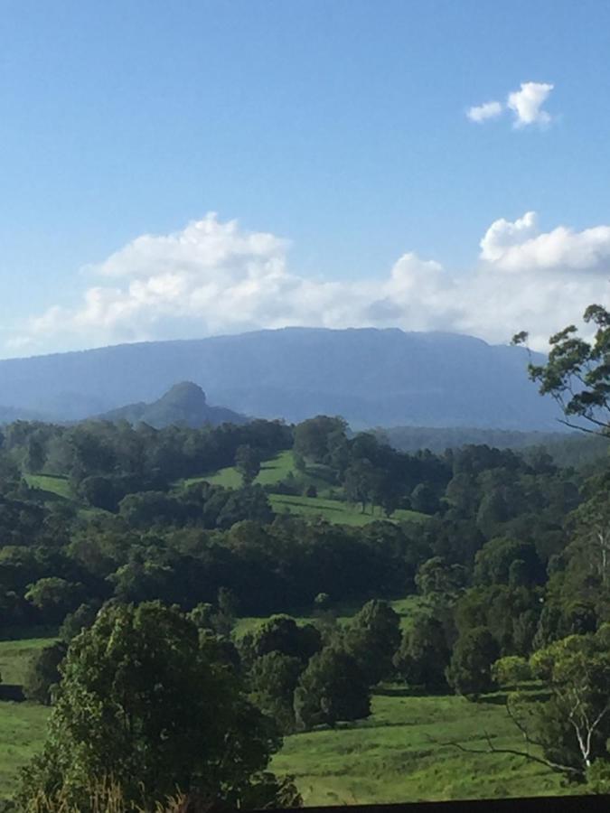 Grey Gum Lodge Nimbin Zewnętrze zdjęcie