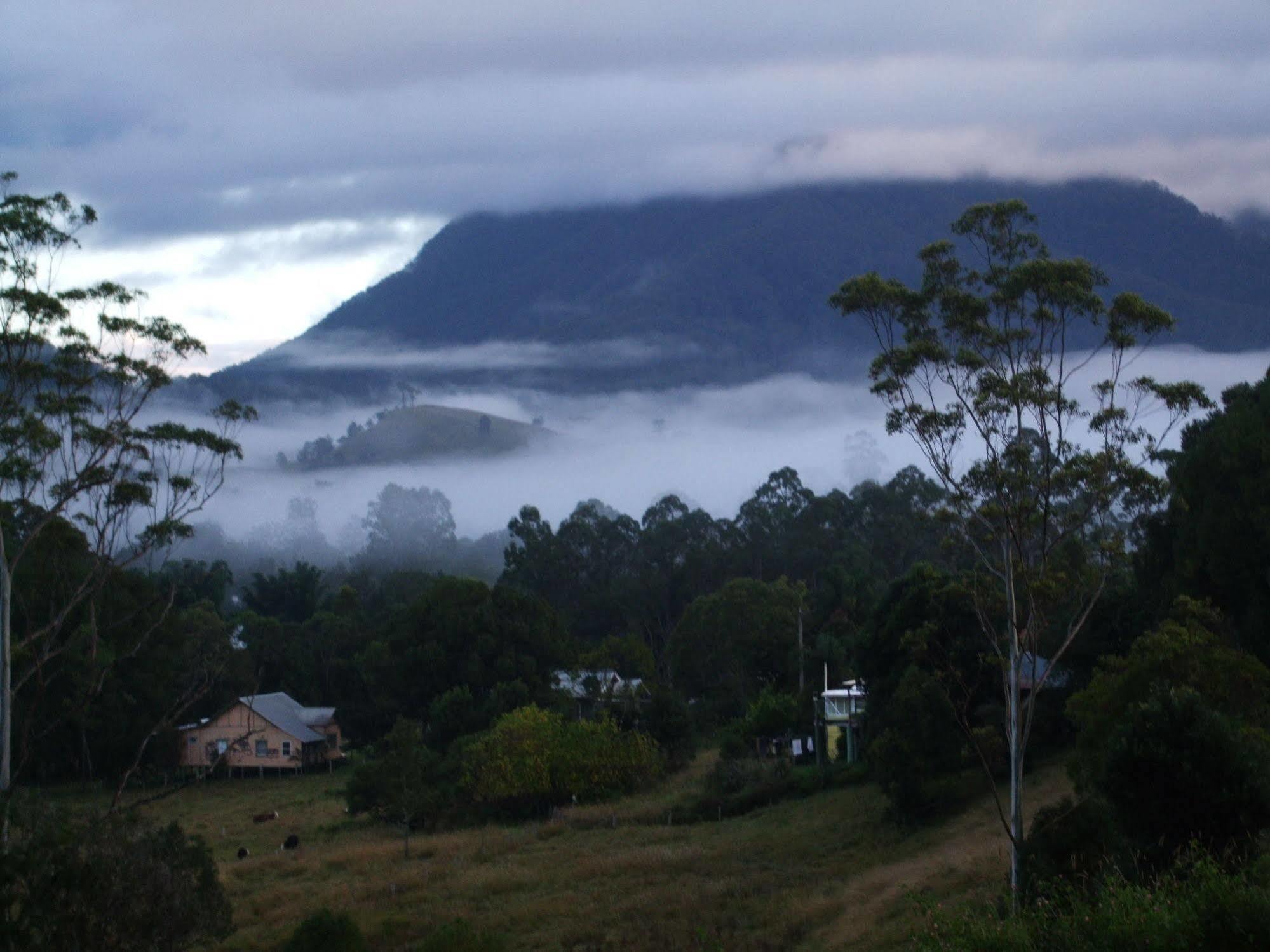 Grey Gum Lodge Nimbin Zewnętrze zdjęcie